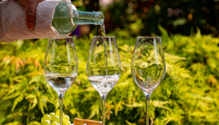 Pouring of dry wine in glasses outdoor in sunny day with white wine tasting in a vineyard