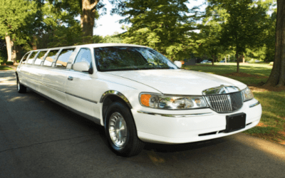Embrace the Summer Vibes in a Luxury Limousine!