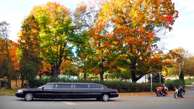 a black limousine in the road during fall season